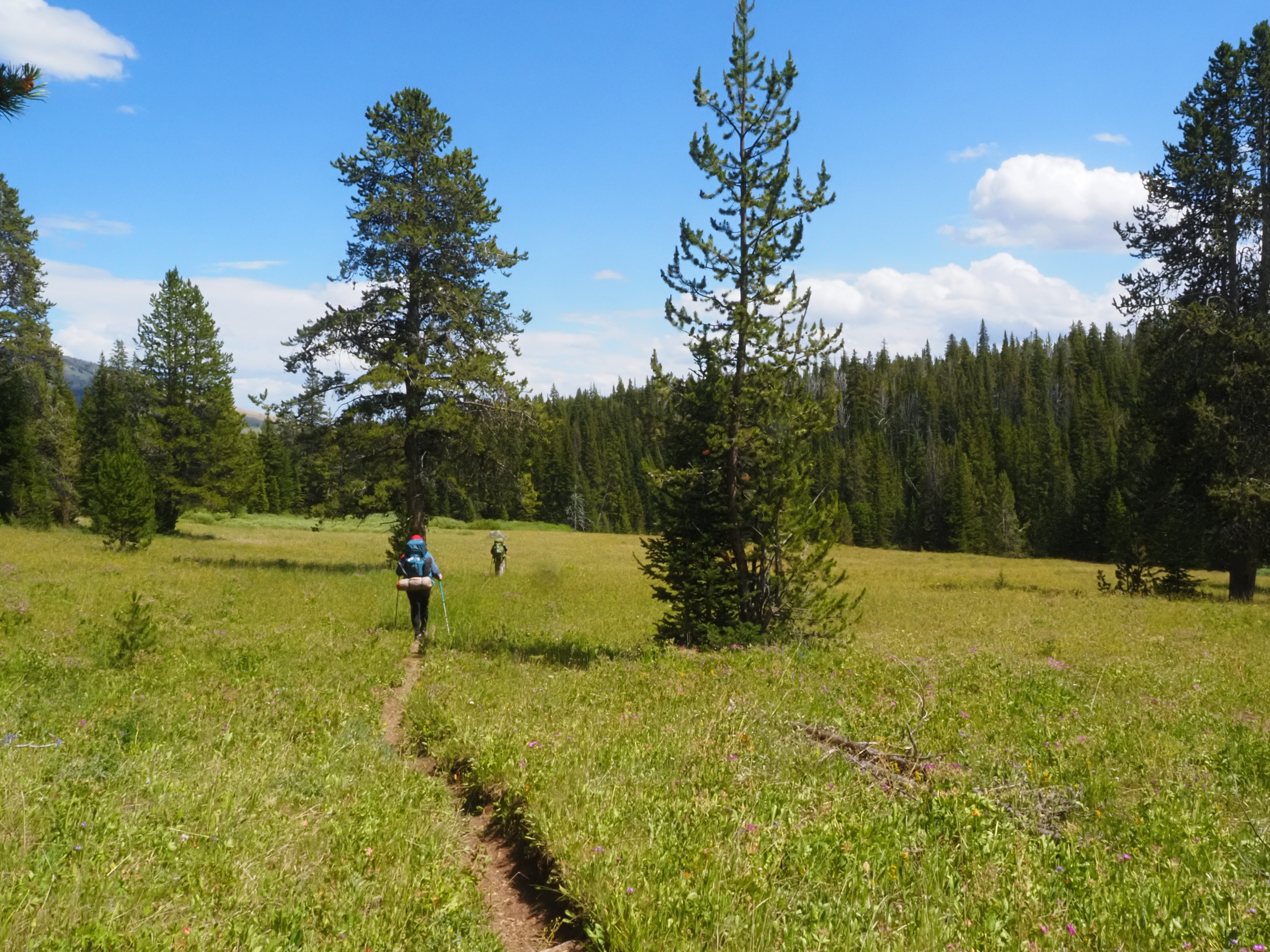 A photo of a group hiking down a mountain